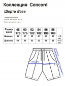 Шорти Concord Shorts Base  Gray - Olive